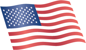 USA Flag icon